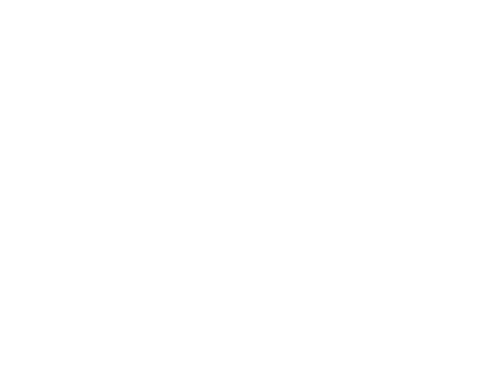 Capital Koala Capital Koala